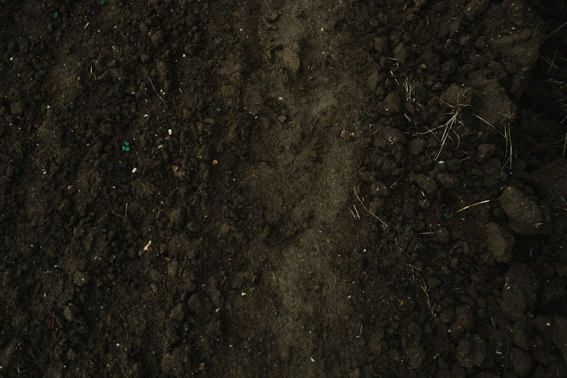 Close-up of dark soil with small stones and dry roots