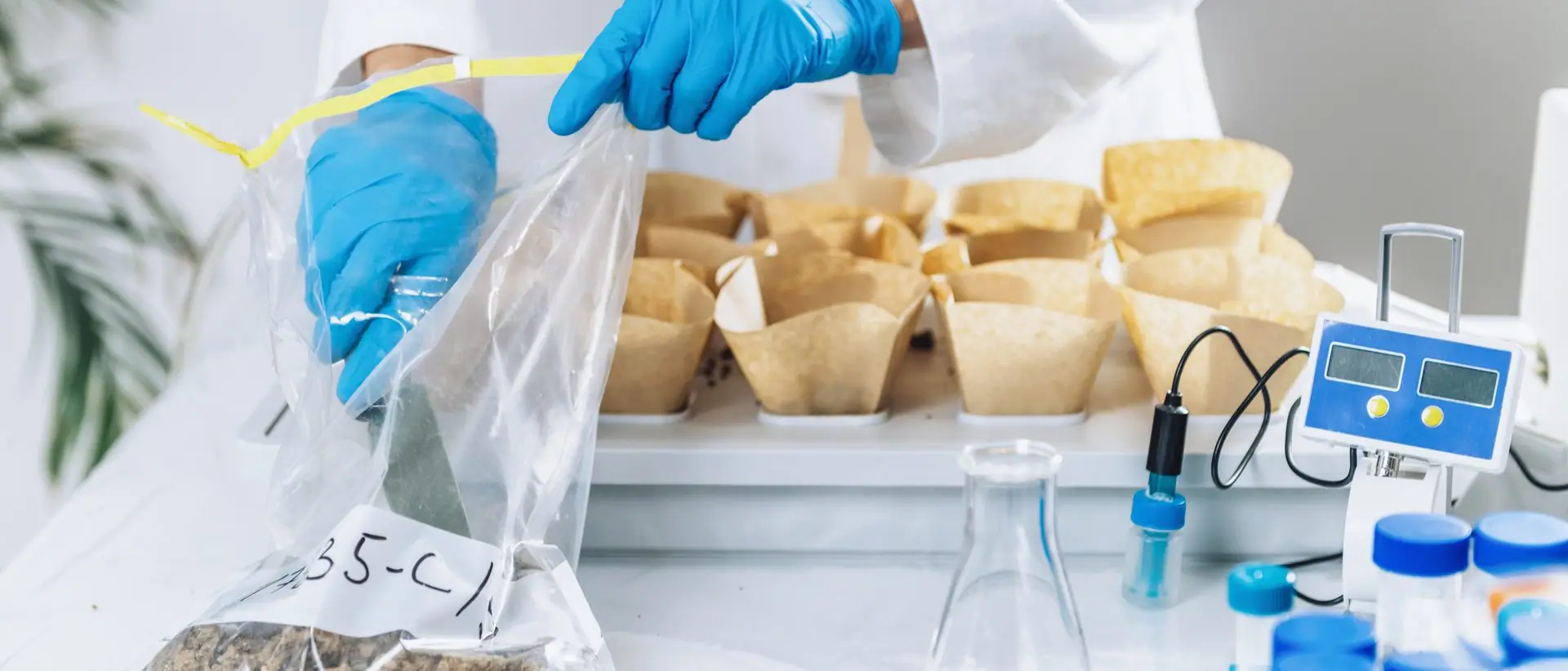 Soil samples being prepared for laboratory analysis
